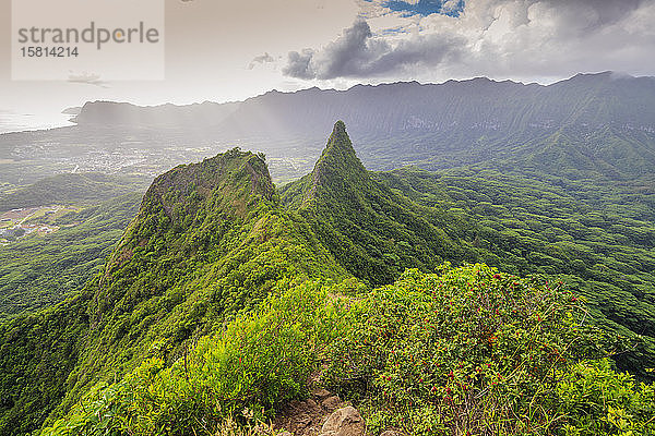 Three Peaks Trail  Insel Oahu  Hawaii  Vereinigte Staaten von Amerika  Nordamerika