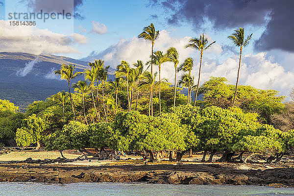 Mahai'ula Beach  Big Island  Hawaii  Vereinigte Staaten von Amerika  Nordamerika