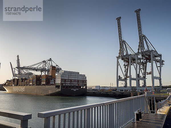 Hafengebiet von Le Havre mit Schwergutkränen und Containerschiff  Le Havre  Normandie  Frankreich  Europa
