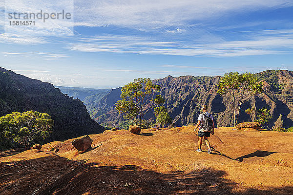 Wanderer im Waimea Canyon State Park  Insel Kauai  Hawaii  Vereinigte Staaten von Amerika  Nordamerika