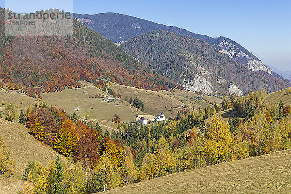 Blick auf den Berg Piatra Craiului im Herbst  Pestera  Rumänien  Europa