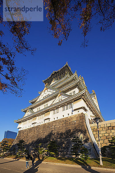 Schloss Osaka  Osaka  Kansai  Japan  Asien
