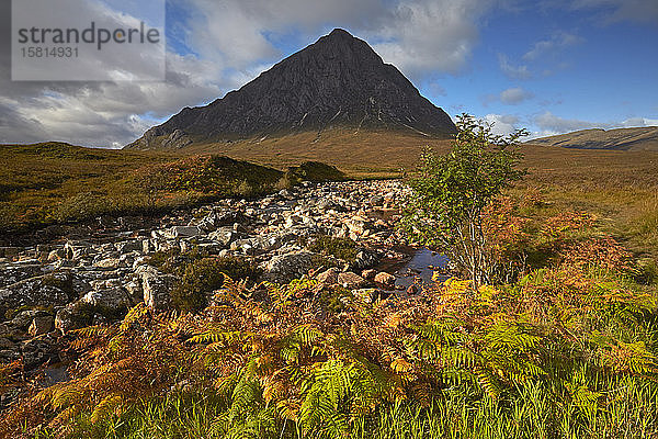 Buchaille Etive Mor vom Rannoch Moor aus gesehen  Argyll und Bute  Schottland  Vereinigtes Königreich  Europa