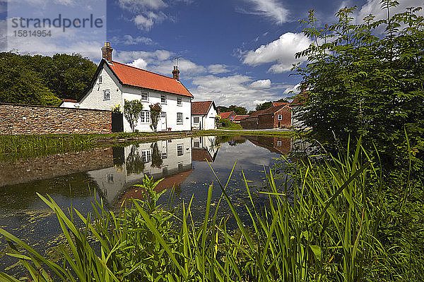 Der Dorfteich in Bishop Burton  East Yorkshire  England  Vereinigtes Königreich  Europa