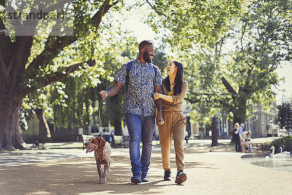 Glückliches junges Paar  das mit seinem Hund in einem sonnigen Park spazieren geht
