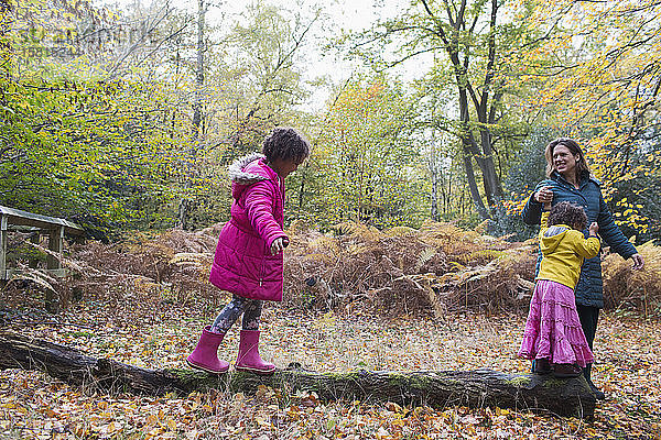 Mutter und Töchter gehen auf einem umgestürzten Baumstamm im Herbstwald spazieren
