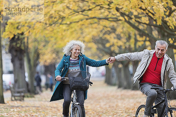 Zärtliches älteres Paar  das sich an den Händen hält  Fahrradfahren im Herbstpark
