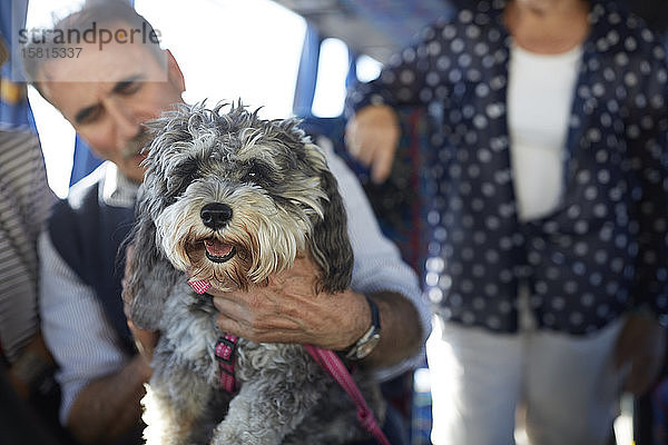 Älterer Mann hält süßen Hund im Tourbus