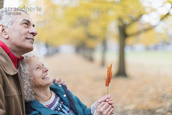 Zärtliches  neugieriges älteres Paar  das ein Blatt im Herbstpark hält