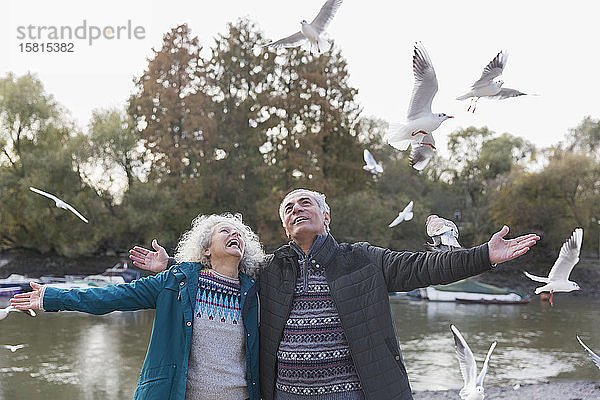 Energiegeladenes  verspieltes älteres Paar beobachtet fliegende Vögel am Teich im Park