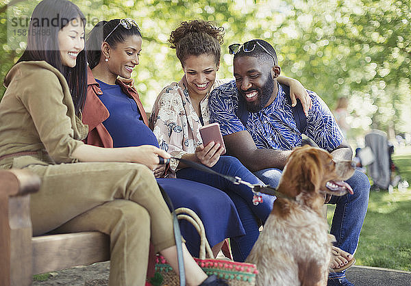 Lächelnde Freunde mit Hund  die im Park ein Smartphone benutzen