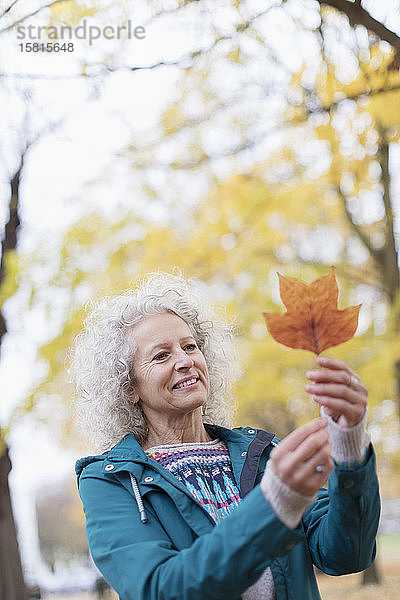 Neugierige ältere Frau hält orangefarbenes Herbstblatt im Park