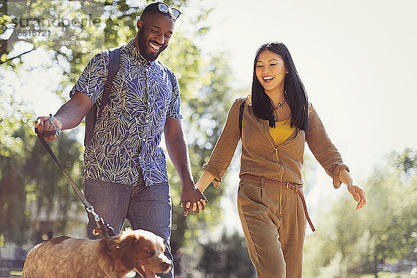 Lächelndes junges Paar geht mit Hund in sonnigem Park spazieren