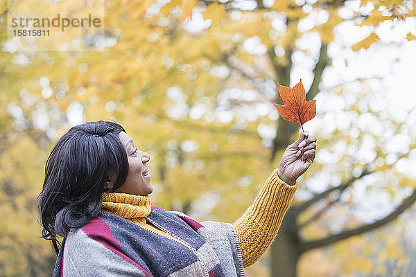 Neugierige Frau hält orangefarbenes Herbstblatt unter einem Baum im Park