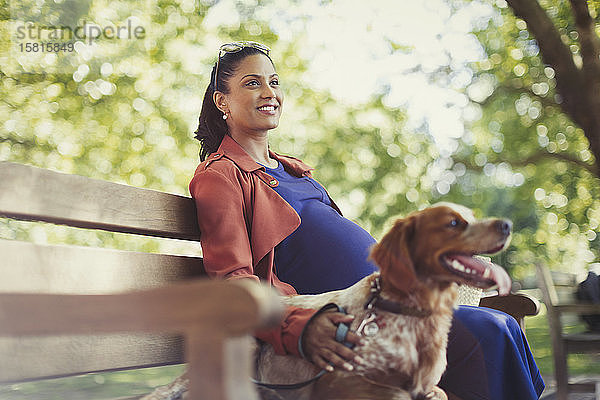 Lächelnde schwangere Frau mit Hund auf einer Parkbank sitzend
