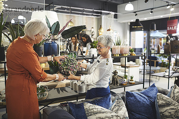 Ältere Frauen beim Einkaufen in einem Geschäft für Wohnkultur