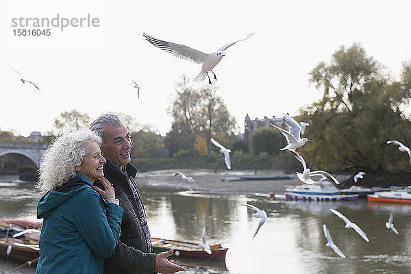 Zärtliches älteres Paar beobachtet Vögel  die am Fluss fliegen