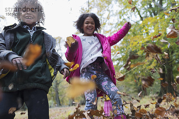 Porträt verspielt Bruder und Schwester spielen im Herbst Blätter