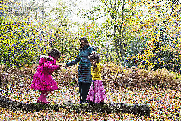 Mutter und Töchter spielen auf einem umgestürzten Baumstamm im Herbstwald