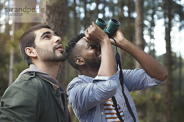 Junge Männer mit Ferngläsern beobachten Vögel im Wald