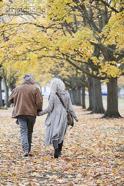 Zärtliches älteres Paar  das sich an den Händen hält und zwischen Bäumen und Blättern im Herbstpark spazieren geht
