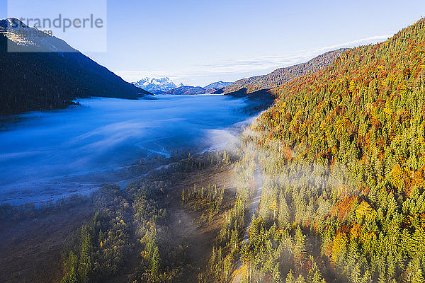 Deutschland  Bayern  Nebel über der Isar  die durch ein bewaldetes Tal im Wettersteingebirge fließt
