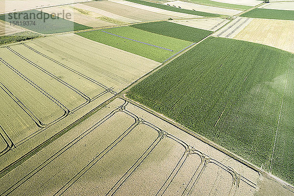 Deutschland  Bayern  Drone-Ansicht von Patchwork-Feldern im Sommer