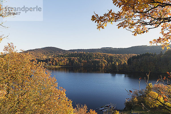 Deutschland  Nordrhein-Westfalen  Lange Exposition des Obersees im Herbst