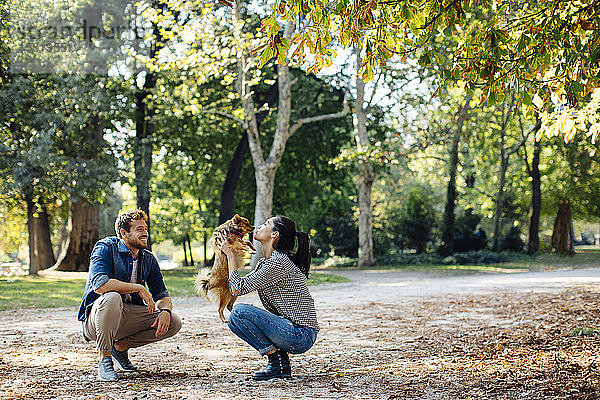 Glückliches junges Paar mit Hund in einem Park