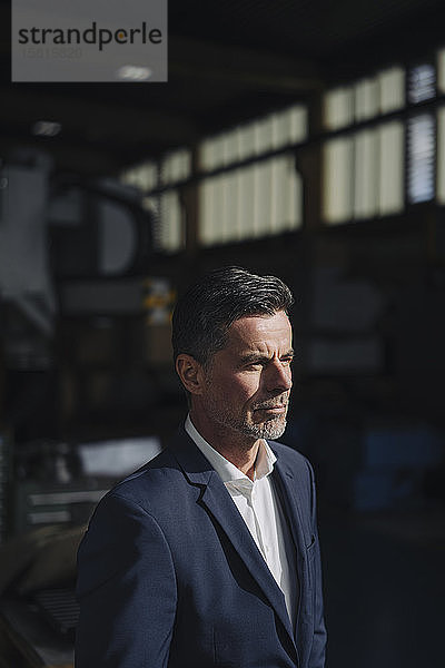 Porträt eines Geschäftsmannes in einer Fabrik