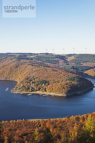 Deutschland  Nordrhein-Westfalen  Rur-Stausee im Herbst mit Windturbinen im entfernten Hintergrund