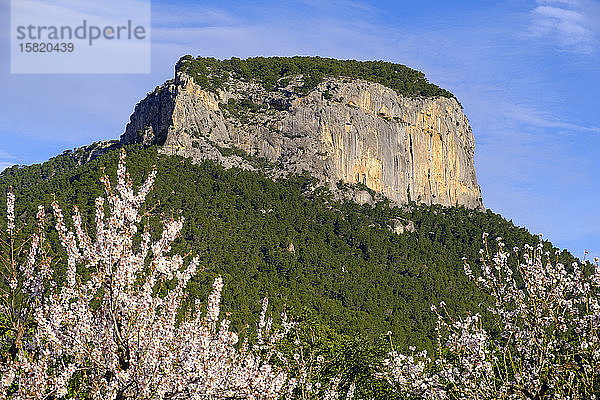 Spanien  Balearen  Alaro  Blick auf den Puig dAlaro im Frühling