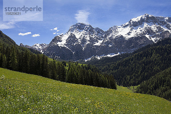 Panorama-Bergblick im Gadertal  Südtirol  Italien