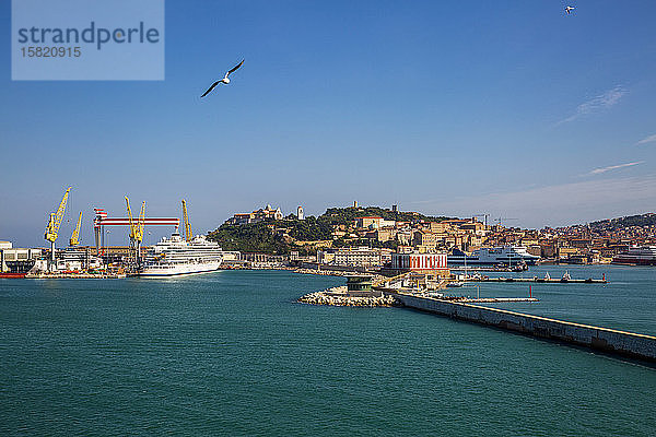 Italien  Provinz Ancona  Ancona  Möwe fliegt gegen den klaren Himmel über der Küstenstadt