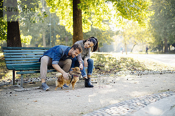 Glückliches junges Paar mit Hund im Park auf einer Bank sitzend