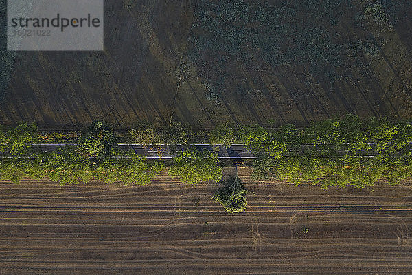 Deutschland  Brandenburg  Drone-Ansicht einer baumbestandenen Landstraße  die durch ein landwirtschaftliches Feld führt