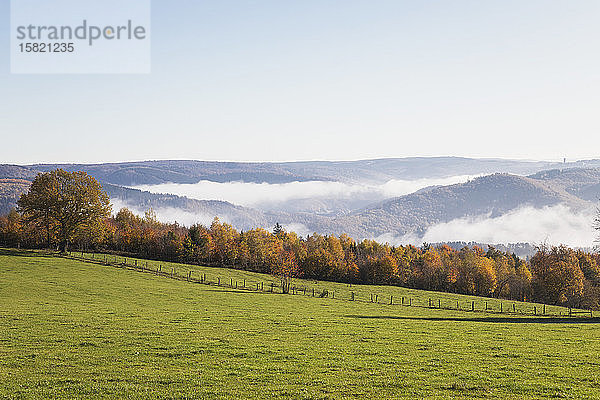 Deutschland  Nordrhein-Westfalen  Klarer Himmel über Herbstwald und neblige Hügel im Nationalpark Eifel