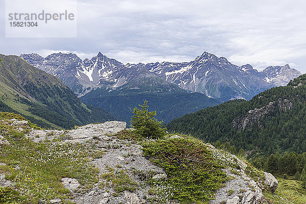 Schweiz  Kanton Graubünden  Szenische Ansicht des Berninapasses