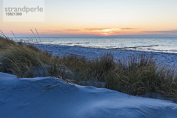 Deutschland  Mecklenburg-Vorpommern  Vitte  Grasdüne am sandigen Küstenstrand bei Sonnenuntergang