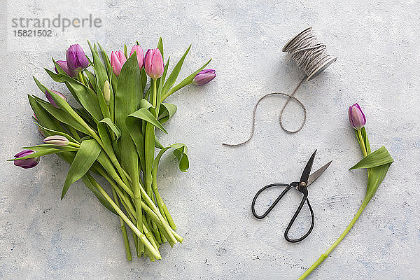 Schere  Spule mit Schnur und Strauss violett blühender Tulpen