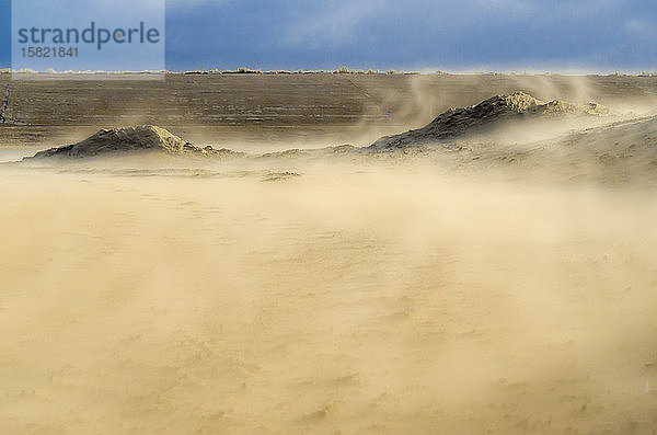 Niederlande  Goeree-Overflakkee  Sandsturm in den Dünen