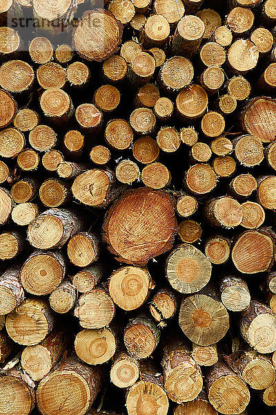 Deutschland  Brennholzstapel