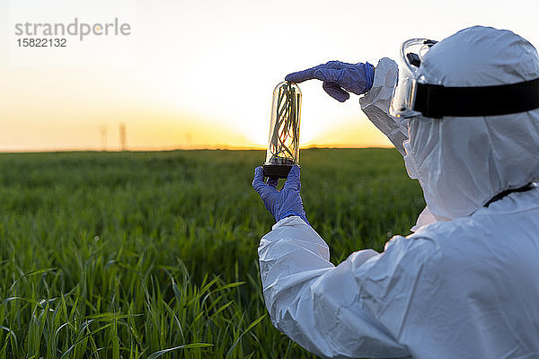 Weibliche Wissenschaftlerin forscht im Feld und hält bei Sonnenuntergang ein Glas mit einer Pflanze