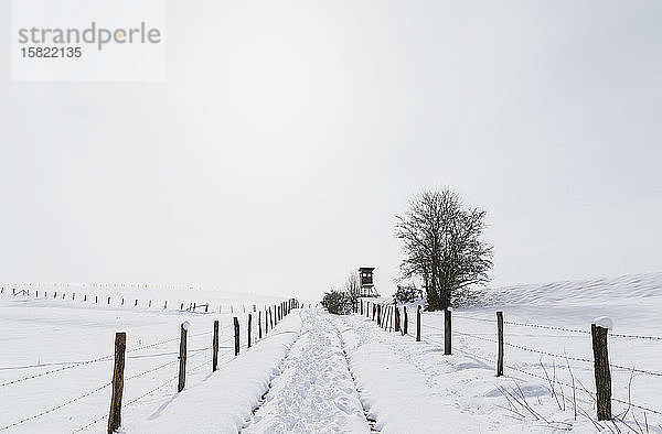Deutschland  Nordrhein-Westfalen  Zäune entlang schneebedeckter Straße im Naturpark Hohes Venn - Eifel