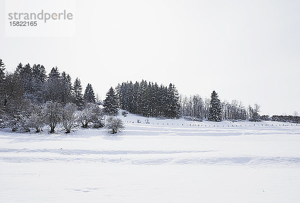 Deutschland  Nordrhein-Westfalen  Klarer Himmel über der schneebedeckten Landschaft des Hohen Venns - Naturpark Eifel im Winter