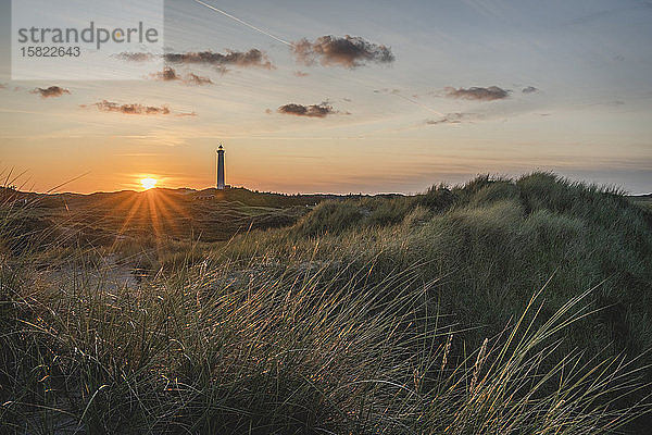 Dänemark  Hvide Sande  Grasküste bei Sonnenuntergang mit Leuchtturm im Hintergrund