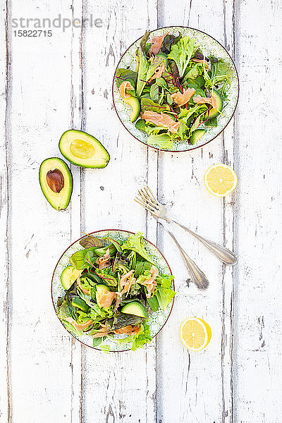 Zwei Teller verzehrfertiger grüner Salat mit Rucola  Lollo Rosso-Salat  Babyspinat  Rote-Bete-Blättern  Avocado  Feldsalat und Lachs