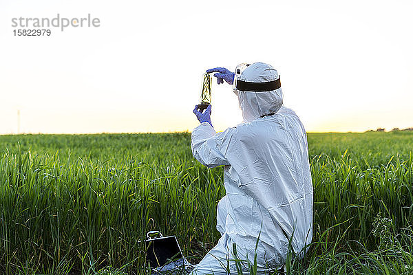 Weibliche Wissenschaftlerin forscht im Feld und hält bei Sonnenuntergang ein Glas mit einer Pflanze