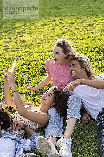 Glückliche Freunde  die auf einer Wiese ein Selfie machen