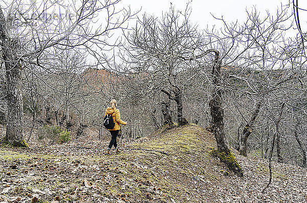 Wanderin auf einem Waldwanderweg in der Nähe von Mina de Oro Romana  Las Medulas  Kastilien und León  Spanien